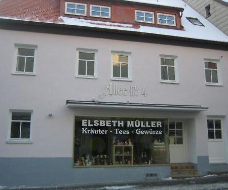 فورشهايم Hotel Allee No. 4 المظهر الخارجي الصورة